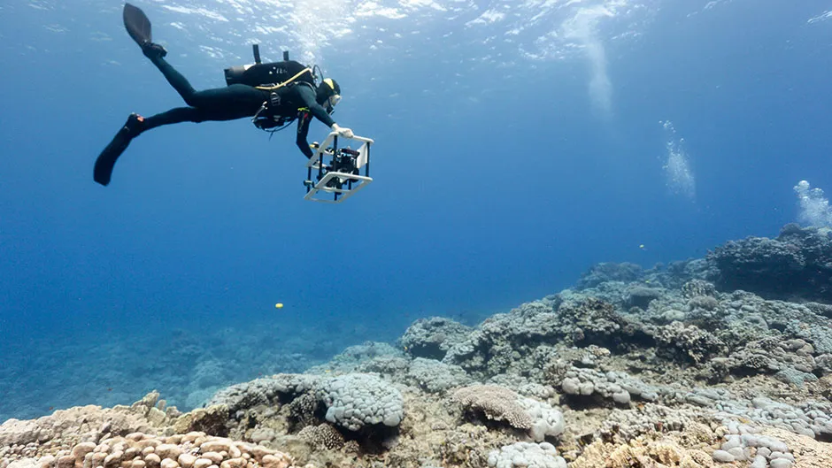 A researcher swims up and down the coral reef with a camera, taking thousands of pictures. These will be stitched together to create a 3D photomosaic to help analyse the reef © Scripps Institution of Oceanography at UC San Diego