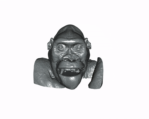 Gorilla head and larynx CT © Jacob Dunn