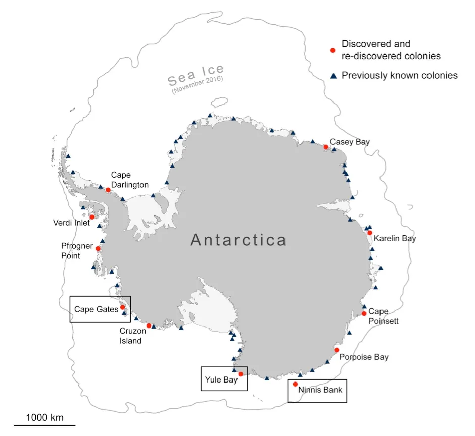 Locations of penguin colonies in Antarctica © BAS/ESA