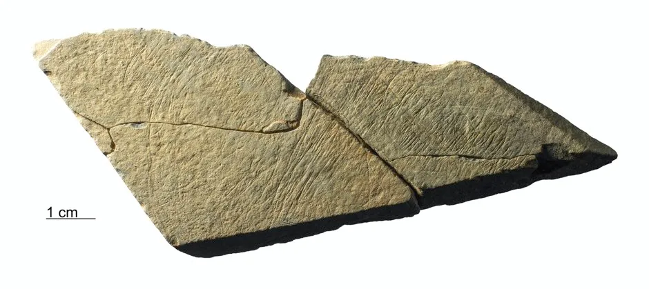 Earliest example of abstract British art discovered in Jersey © Stone fragments found at the found at the Les Varines archaeological site in the south east of Jersey (Trustees of the Natural History Museum/University of Newcastle)
