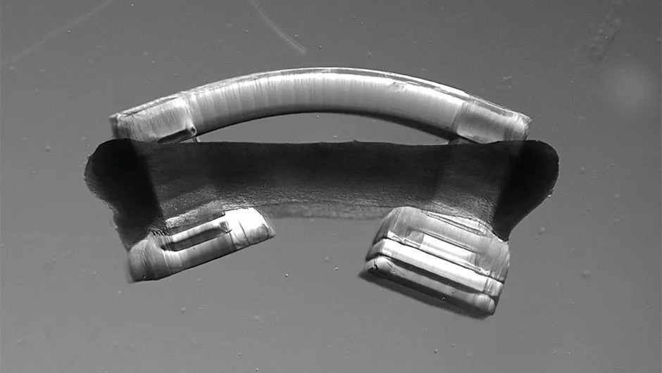 This bio-bot has a ring of muscle surrounding a flexible skeleton and has been genetically engineered to respond to light © Ritu Raman