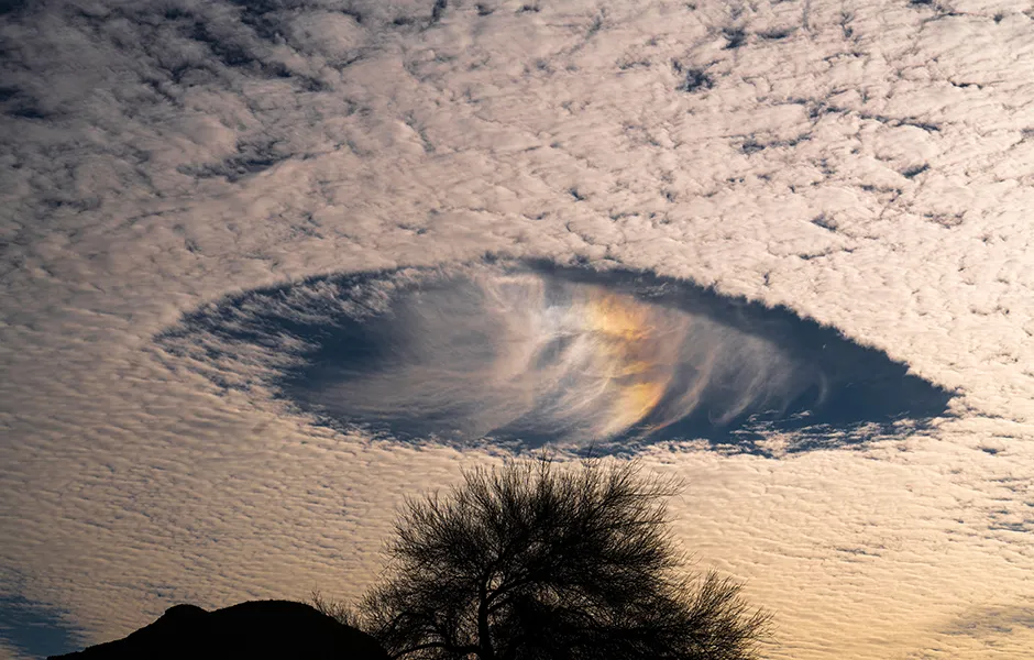 Fallstreak holes with rainbows in altocumulus clouds photographed in Arizona USA, 31st March 2020