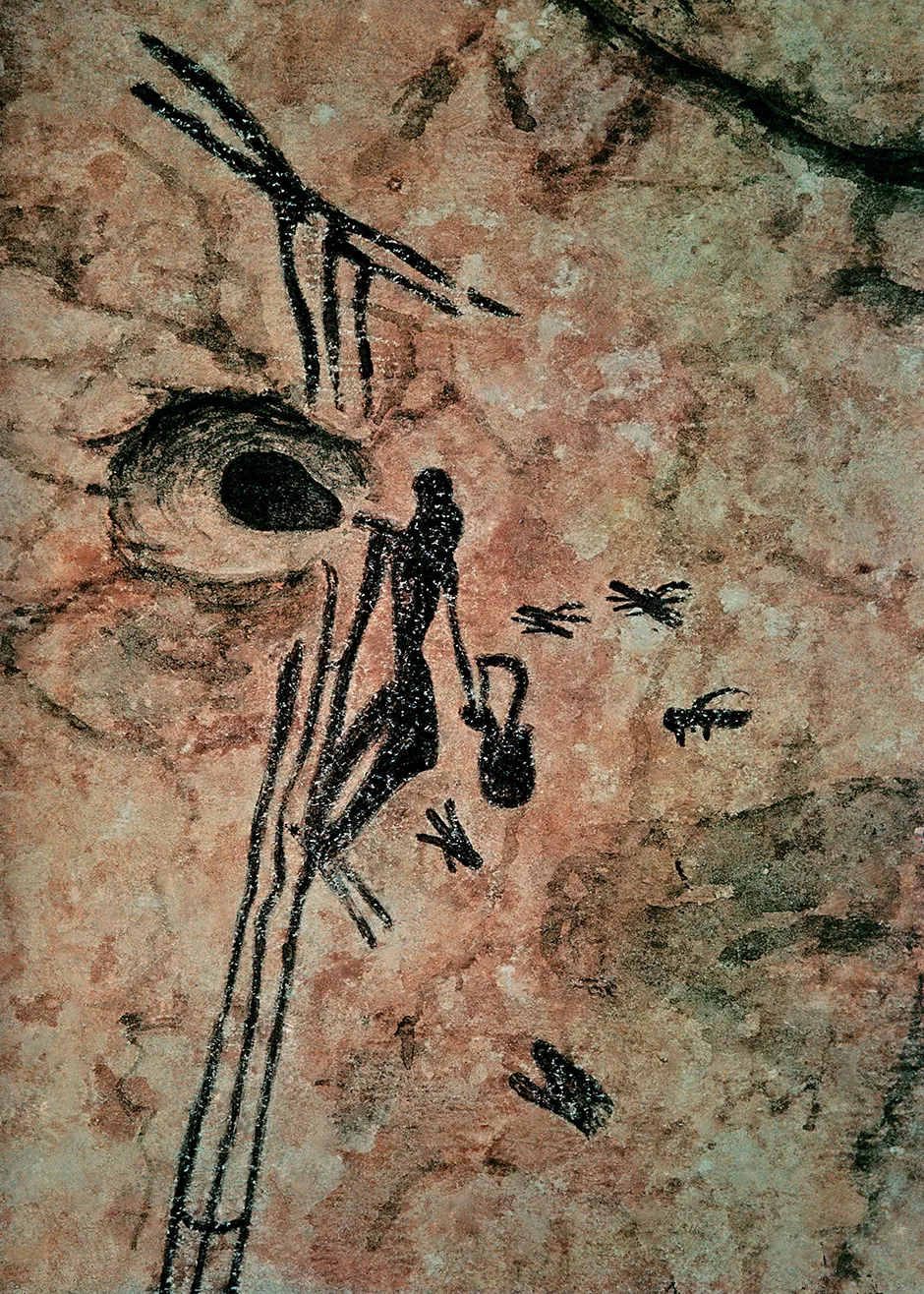 The Man of Bicorp, an 8,000-year-old cave painting, shows a person gathering honey from a beehive © Alamy