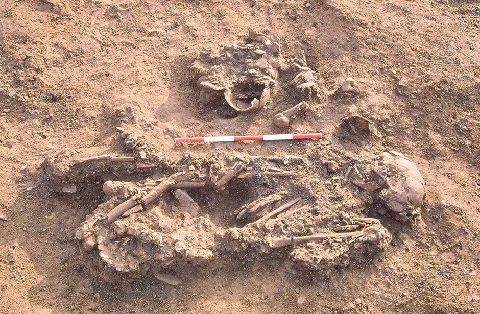 A skeleton from Windmill Fields, Stockton-on-Tees © Tees Archaeology/PA
