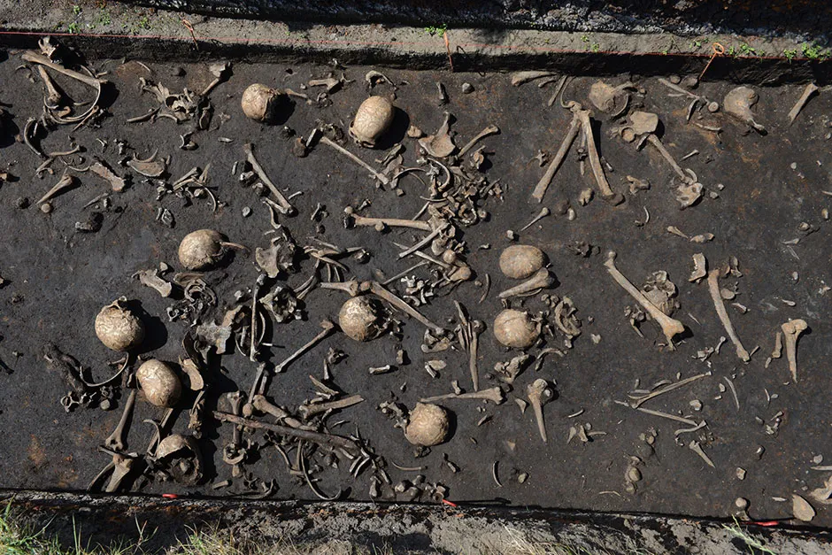 Bones from more than 100 individuals have been discovered on the battlefield © Stefan Sauer/Tollense Valley Project