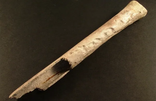 Bronze Age musical instruments made from human bone - BBC Science Focus ...
