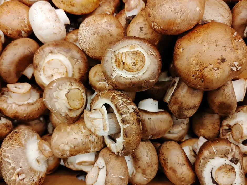 Many supermarket mushroom varieties are actually the same species of mushroom © Getty Images