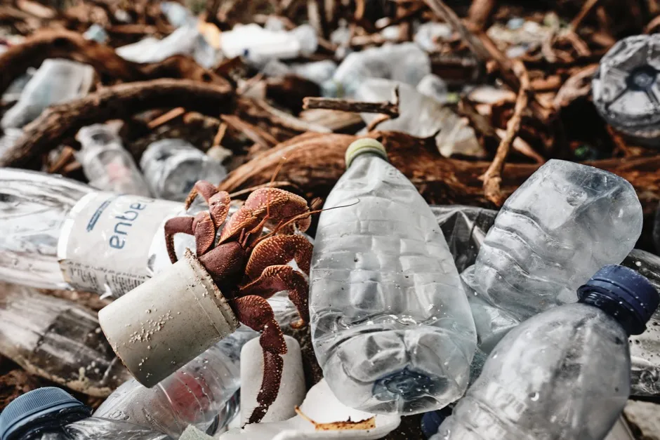 Conservation Photographer 1st prize: A hermit crab crawls atop a pile of plastic in a shell made from manmade waste in the Maldives. © Matthew Sharp