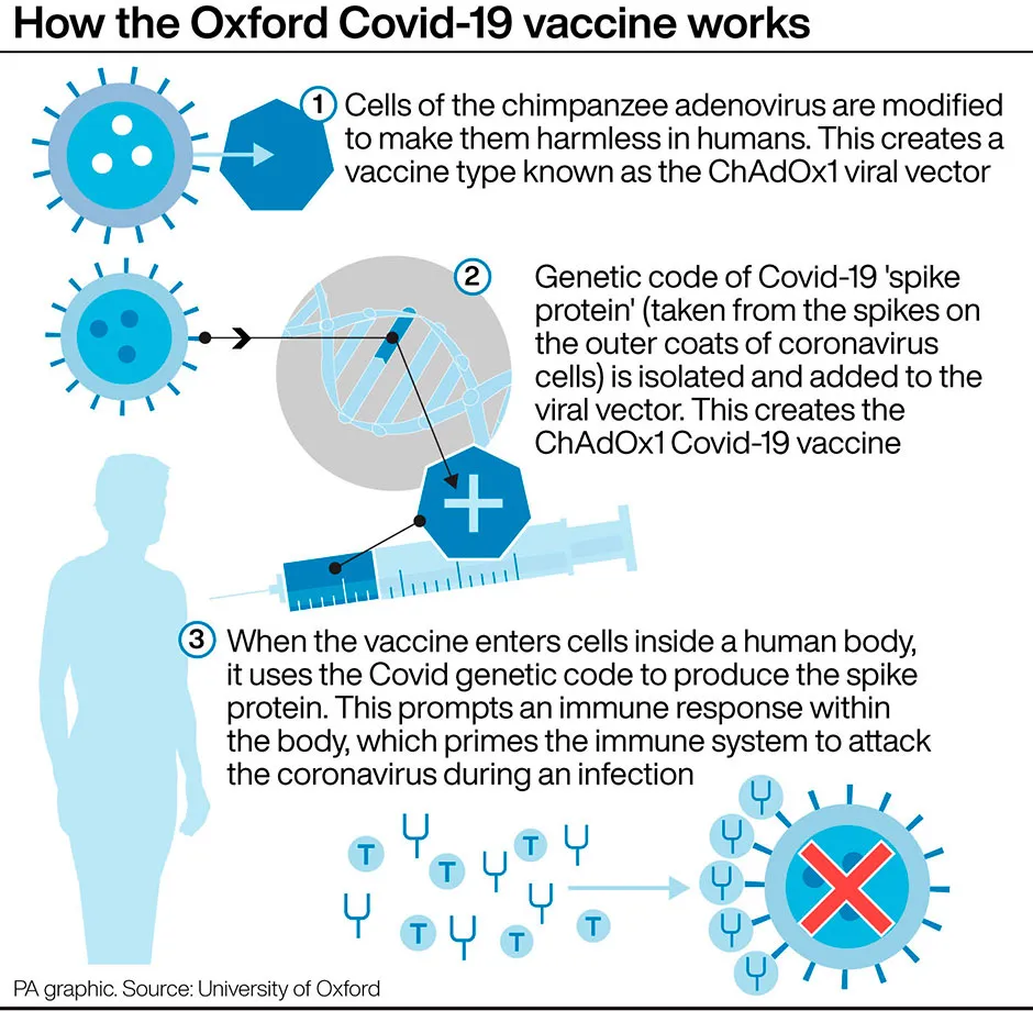 Graphic showing how the Oxford COVID-19 vaccine works © PA Graphics