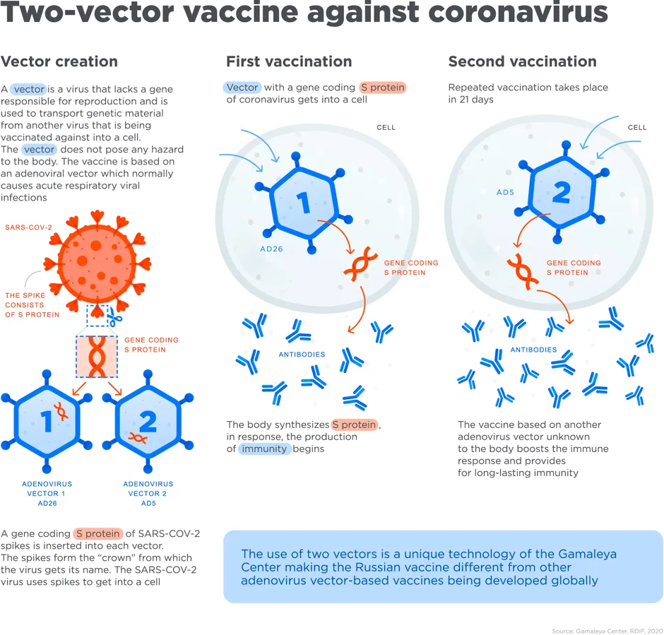 How adenoviral vector-based vaccines work © Gamaleya Center, RDIF, 2020