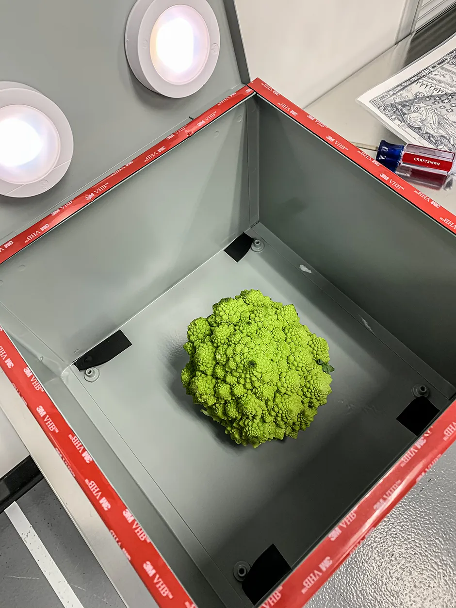 The Romanesco sits inside the pinhole projector built to project test images onto the focal plane. Other test items included an image of Vera C Rubin, a key figure in the discovery of dark matter, after whom the observatory in which the LSST Camera will be housed is named © Jacqueline Orrell/SLAC