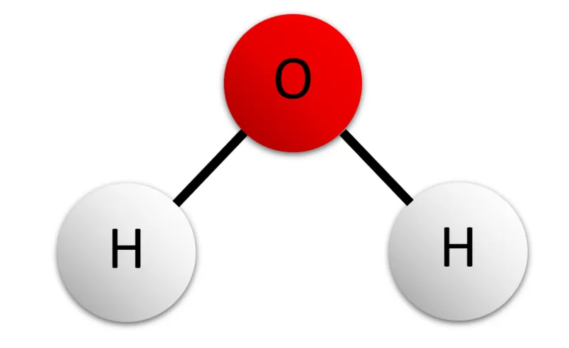 A diagram of a water molecule, showing the V shape with oxygen in the centre © MsKDinh, CC BY-SA 4.0 (https://creativecommons.org/licenses/by-sa/4.0), via Wikimedia Commons