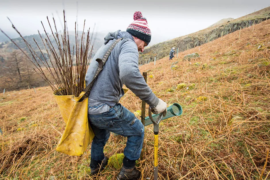 A programme of tree planting, with species native to the area, saw the fells around Cumbria’s Thirlmere Reservoir acquire 50,000 new trees to provide flood protection and increase biodiversity © Alamy