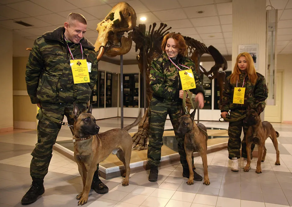Staff from the Russian Military Historical Society collect dogs cloned by Sooam Biotech © Alamy