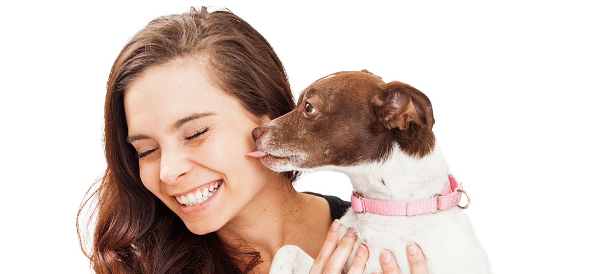 Why Dogs Like to Lick People