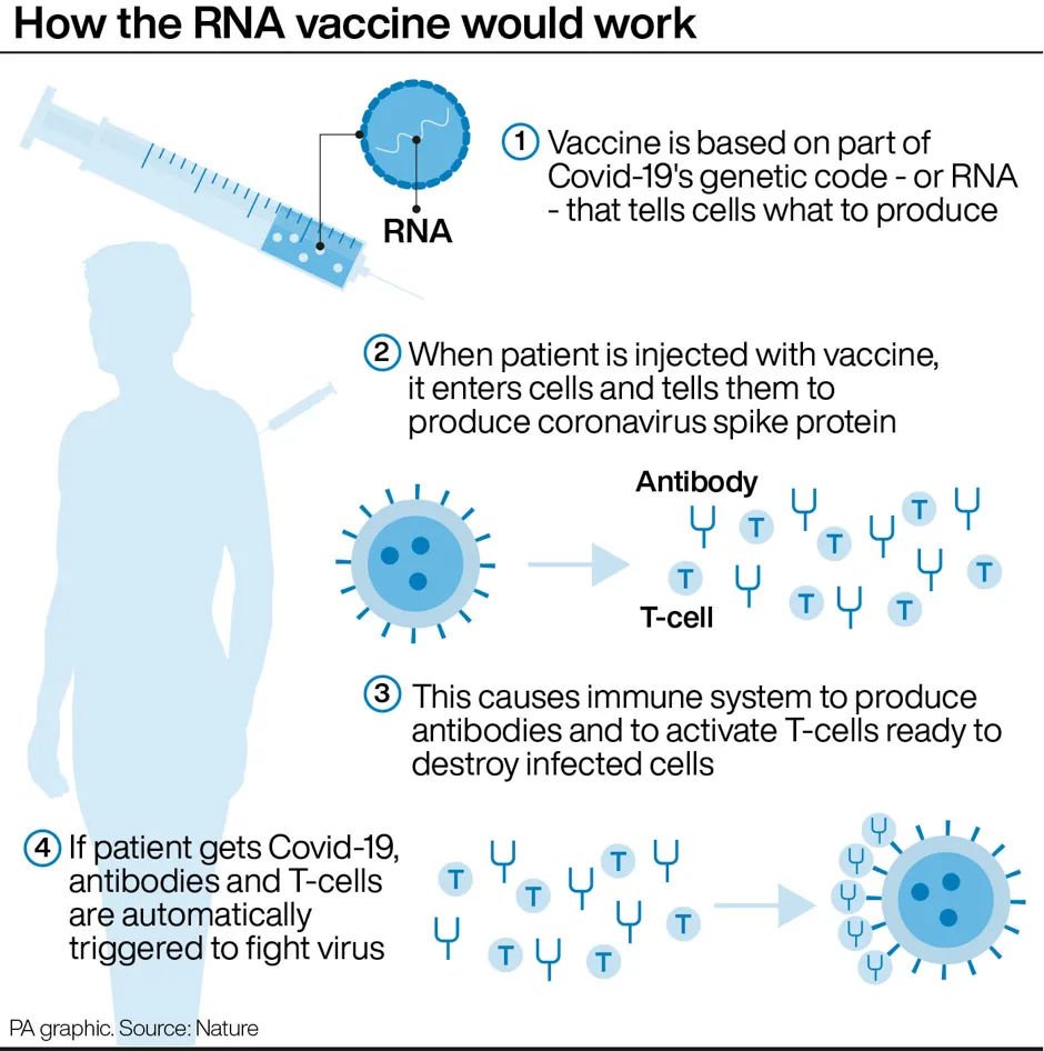 How the Moderna RNA vaccine works © PA Graphics