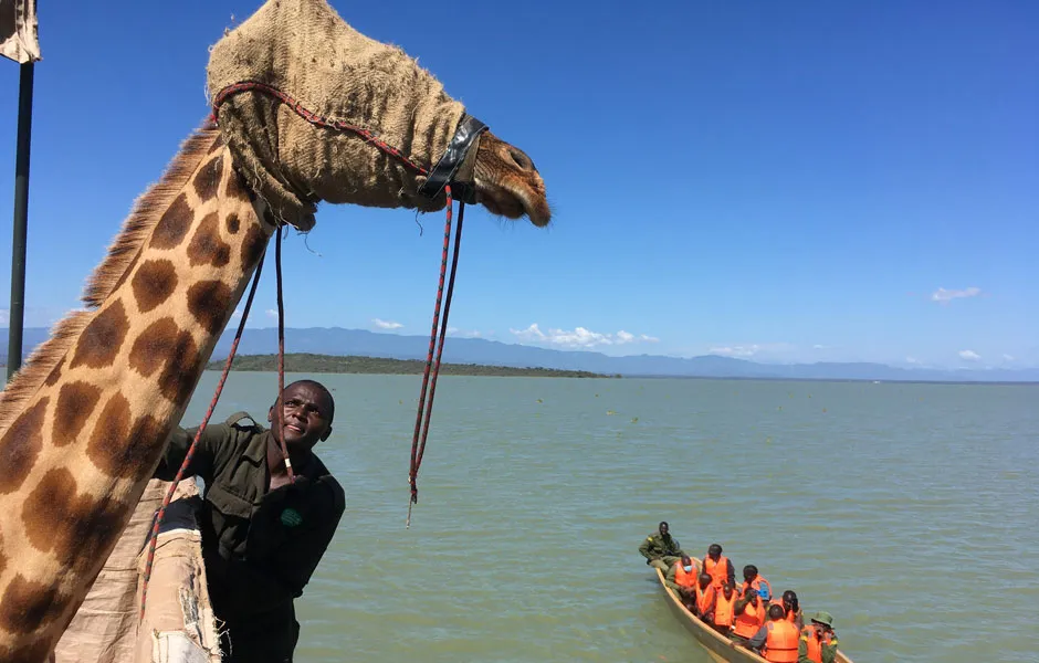 A blindfolded giraffe on the raft, next to a rowing boat with several people © Save Giraffes Now