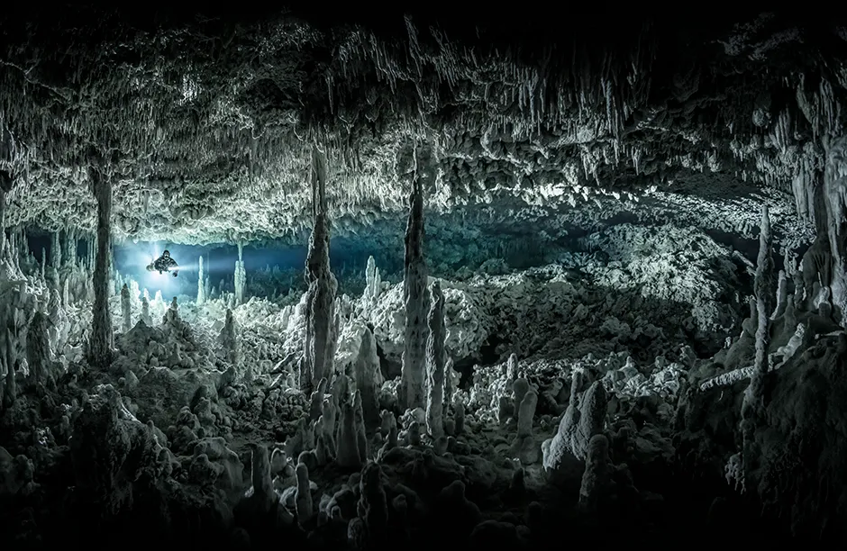 Photographed at Cenote Monkey Dust, Mexico.