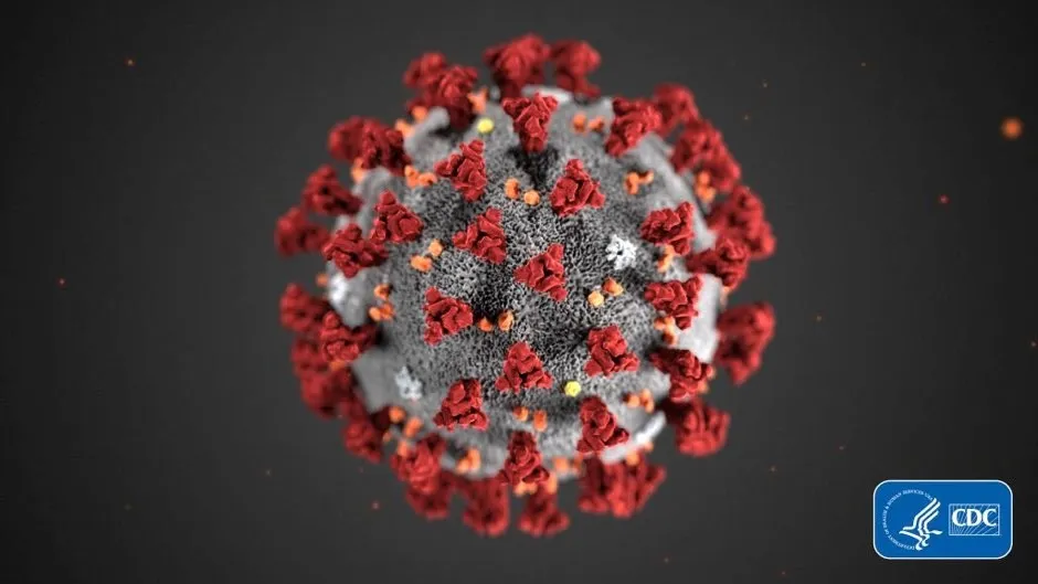 SARS-CoV-2, the virus that causes COVID-19 © Smith Collection/Gado/Getty Images