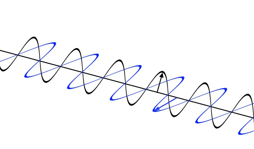 Diagram showing two transverse waves with different polarisation: one vibrates vertically, and the other horizontally