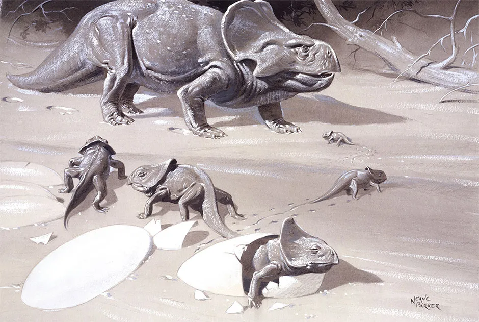 Illustration of an adult Protoceratops and hatchlings © The Trustees of the Natural History Museum