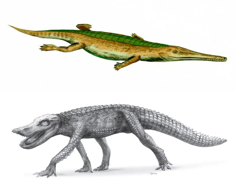 Prehistoric Crocodile Evolution
