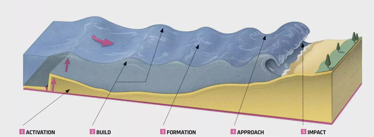 How do tsunamis form?