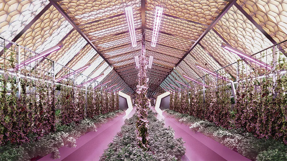 Illustration of an enclosed space used to farm crops © ABIBOO Studio
