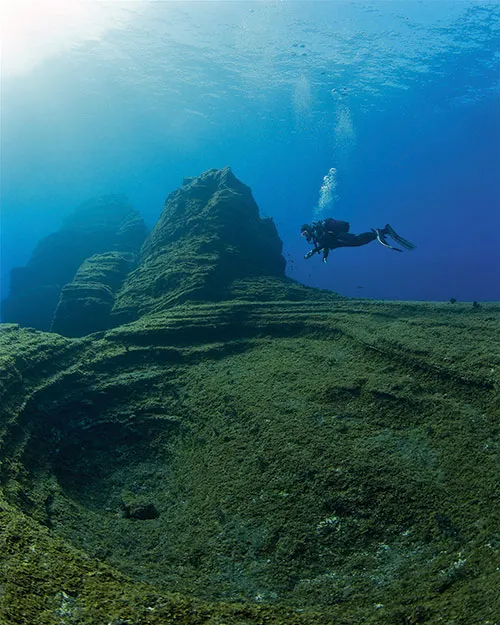 A scuba diver peers down into El Bajón, a volcanic seamount in Spain’s Mar De Las Calmas marine reserve © Alamy