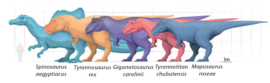 Biggest theropods © Daniel Bright