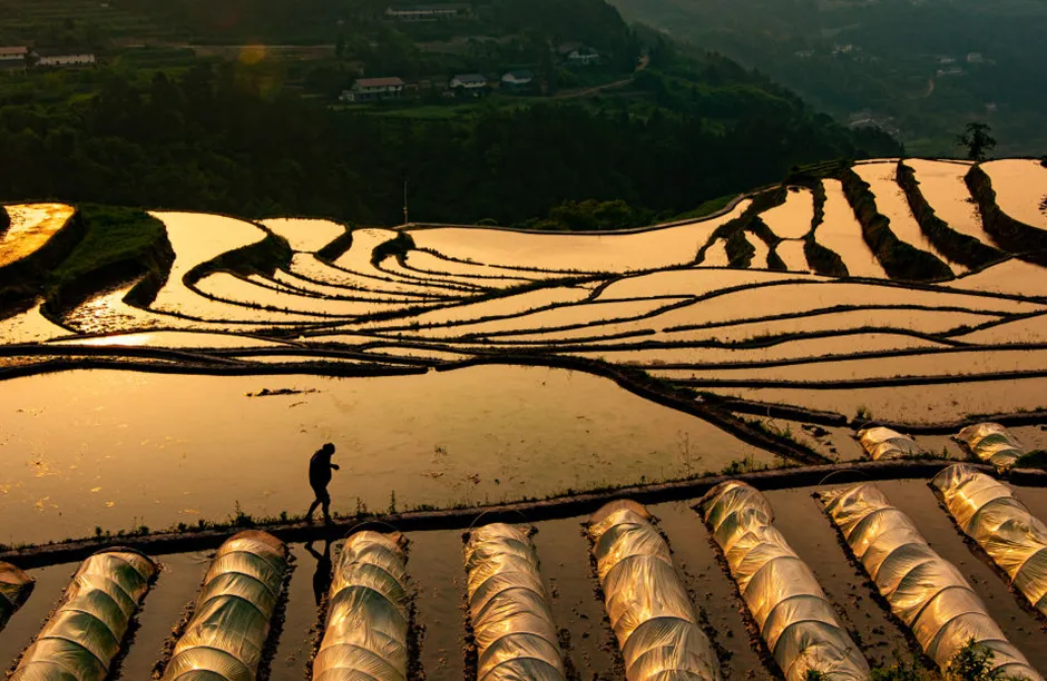 YICHANG, CHINA - MAY 2, 2021 - An aerial view of terraces at sunset in Yichang, central China's Hubei province, May 2, 2021. (Photo credit should read Costfoto/Barcroft Media via Getty Images)