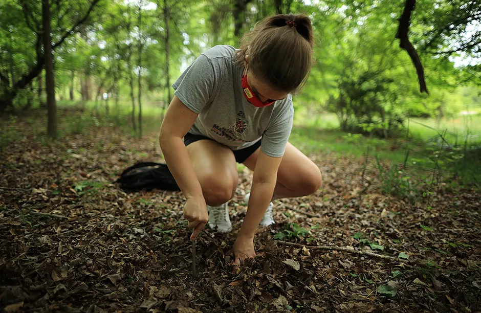 COLLEGE PARK, MD - MAY 03: Colette Lord, 20, an ecology and evolution student at the University of Maryland, measures the soil temperature in a wooded area on campus on May 03, 2021 in College Park, Maryland. The soil measured 58 degrees, six degrees cooler than necessary for the periodical cicadas from Brood X to emerge. Lord is part of a 15 students who are measuring and monitoring the area for the rise of billions of the airborne insects who have been eating and growing under ground for 17 years. (Photo by Chip Somodevilla/Getty Images)
