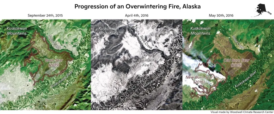 Progression of zombie fires in Alaska