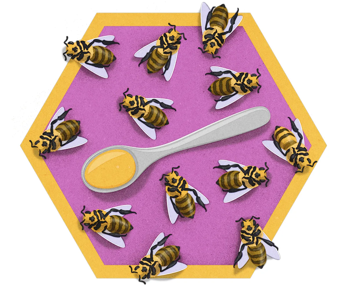 How do bees make honey? © Daniel Bright