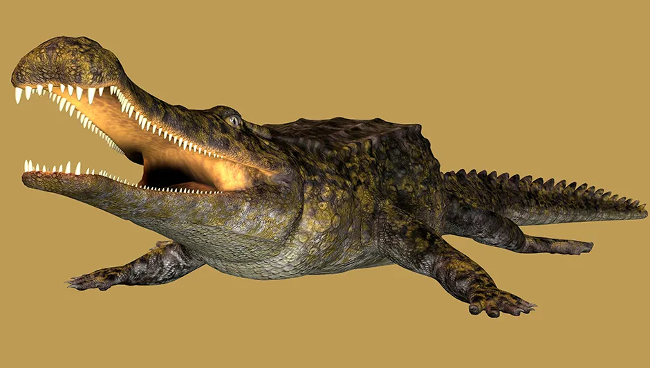 Sarcosuchus imperator © Alamy