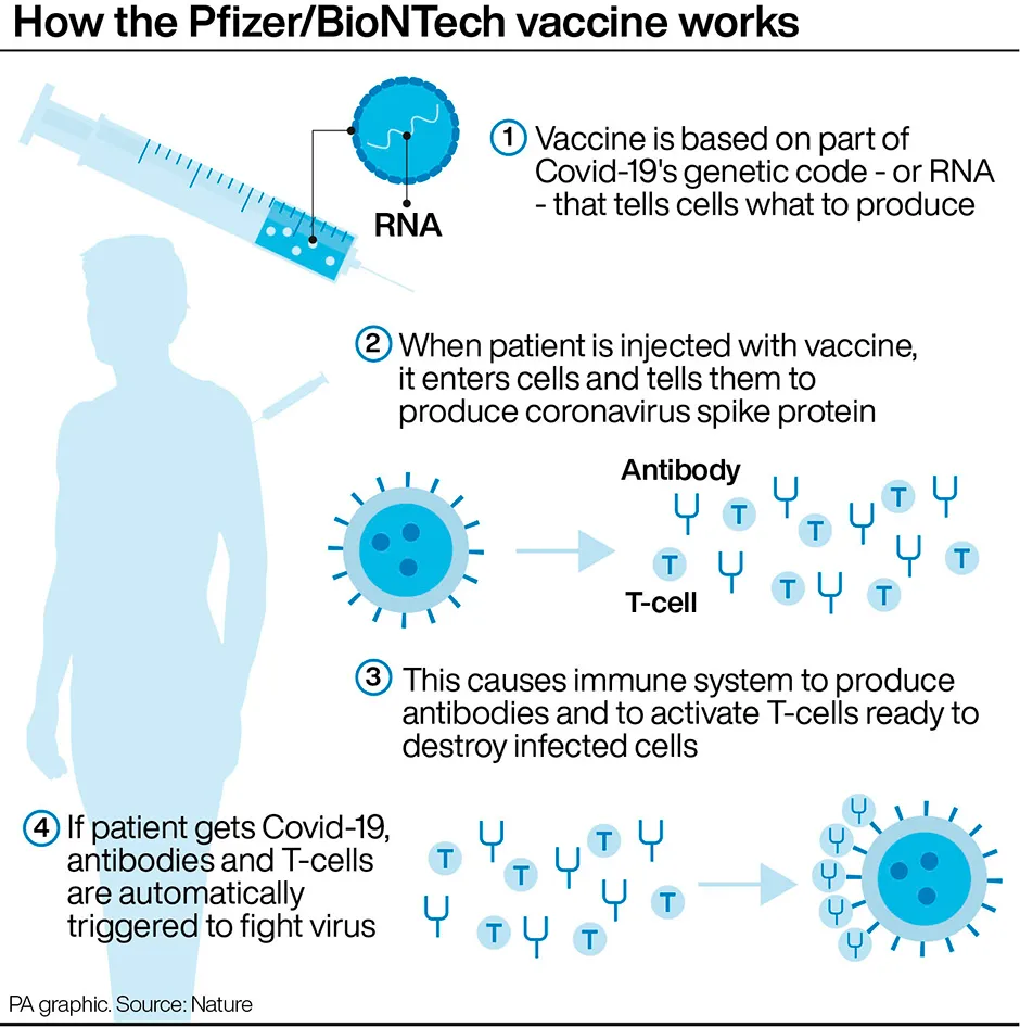 Graphic explaining how the Pfizer vaccine works © PA Graphics