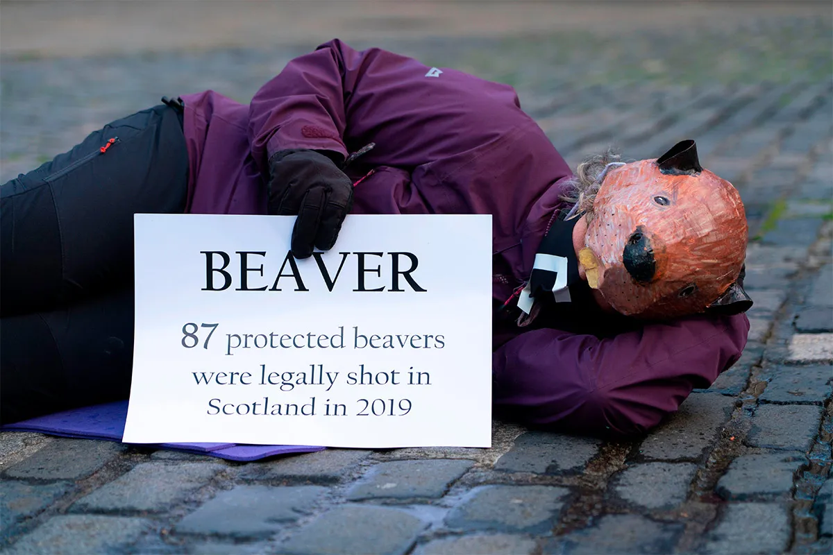 A protester wearing a beaver mask © Alamy