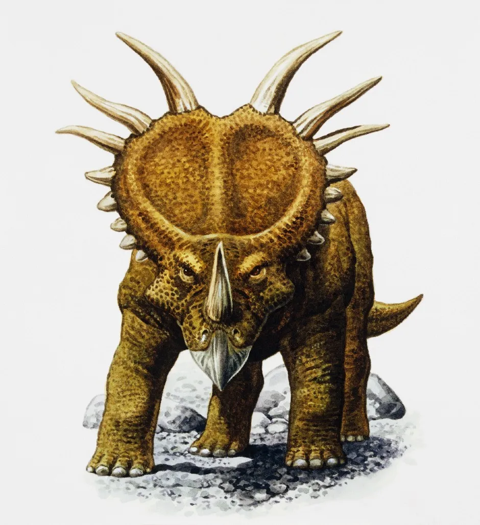 Artist's impression of Styracosaurus