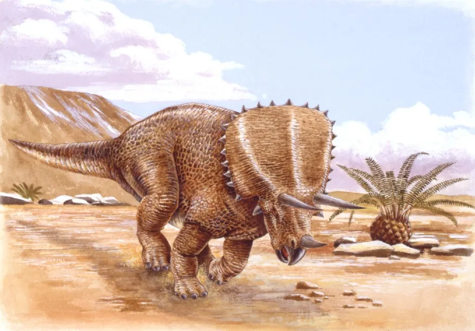 Artist's impression of a Pentaceratops