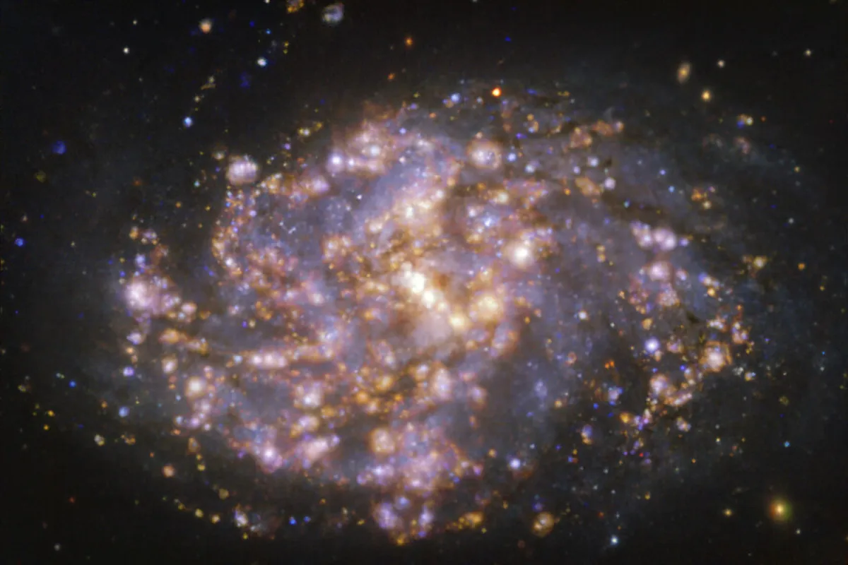 This image, taken with the Multi-Unit Spectroscopic Explorer (MUSE) on ESO’s Very Large Telescope (VLT), shows the nearby galaxy NGC 1087. NGC 1087 is a spiral galaxy located approximately 80 million light-years from Earth in the constellation of Cetus. The image is a combination of observations conducted at different wavelengths of light to map stellar populations and warm gas. The golden glows mainly correspond to clouds of ionised hydrogen, oxygen and sulphur gas, marking the presence of newly born stars, while the bluish regions in the background reveal the distribution of slightly older stars. The image was taken as part of the Physics at High Angular resolution in Nearby GalaxieS (PHANGS) project, which is making high-resolution observations of nearby galaxies with telescopes operating across the electromagnetic spectrum.