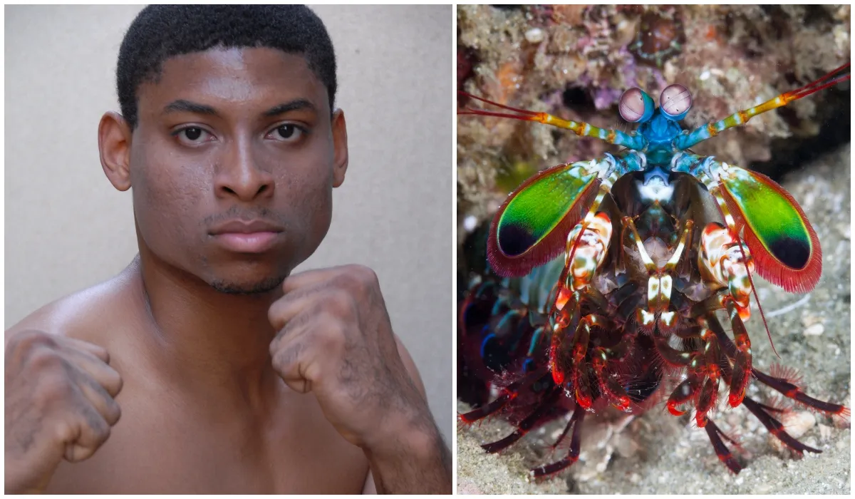 Keith Liddell and a mantis shrimp © Getty