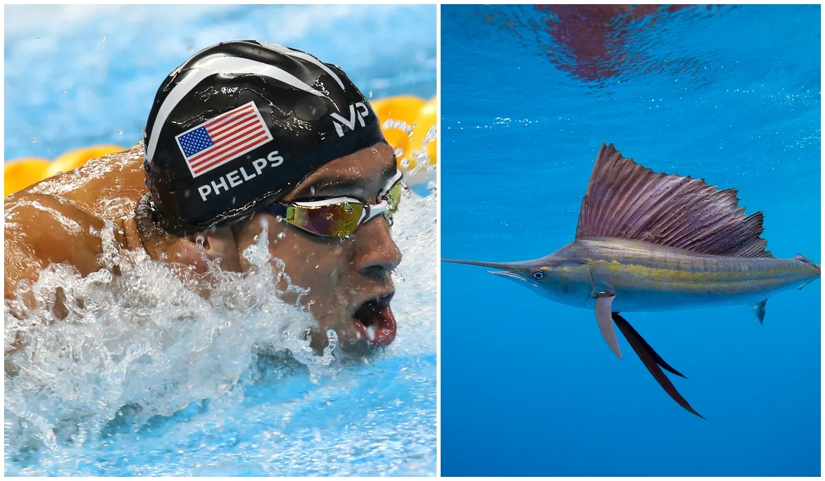 Michael Phelps and a sailfish © Getty