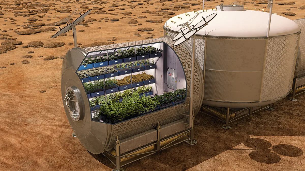 Illustration of plants growing in a large container on a Mars-like surface © NASA