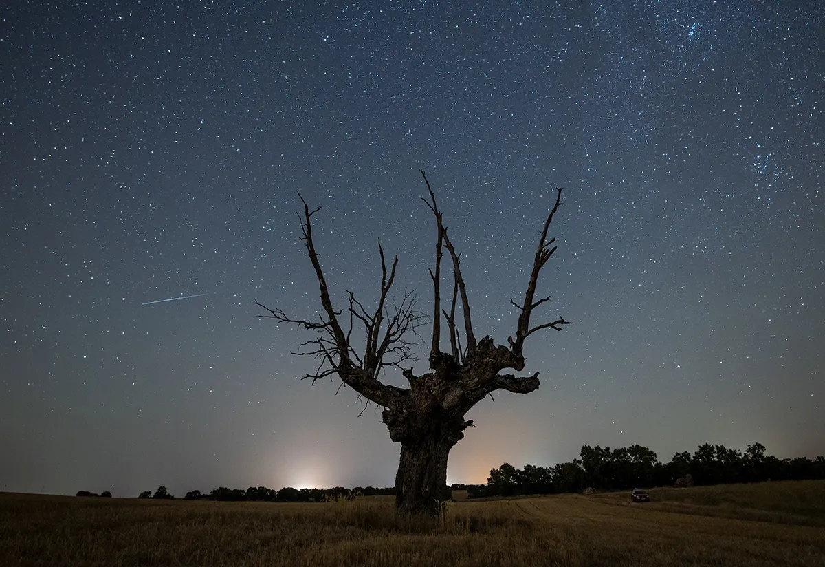BRIHUEGA, GUADALAJARA, SPAIN - 2021/08/13: A meteor crossing the summer night sky over a dead tree during the Perseid meteor shower. (Photo by Marcos del Mazo/LightRocket via Getty Images)