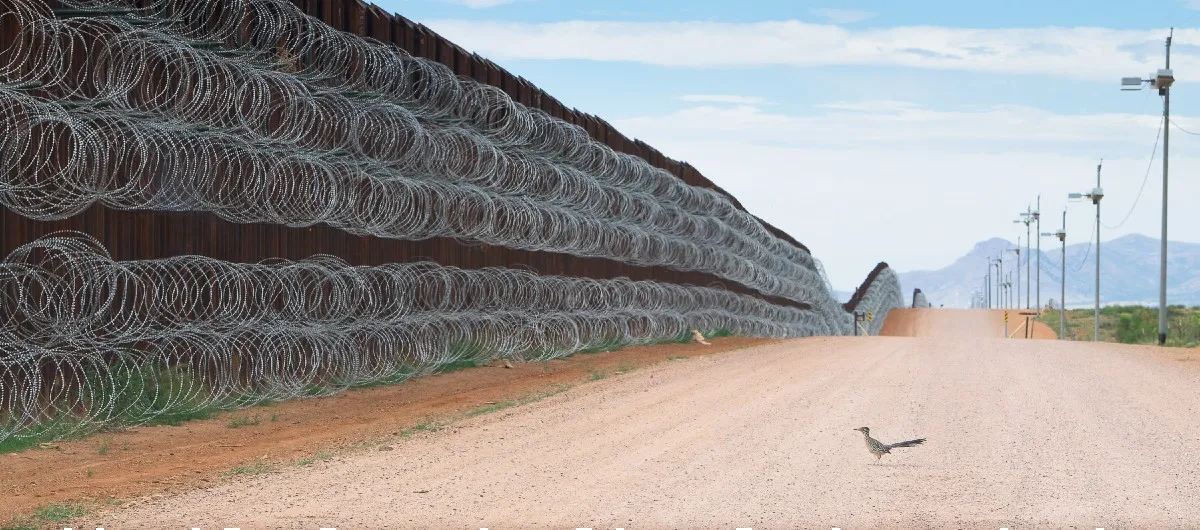 Road Runner on the US-Mexico border