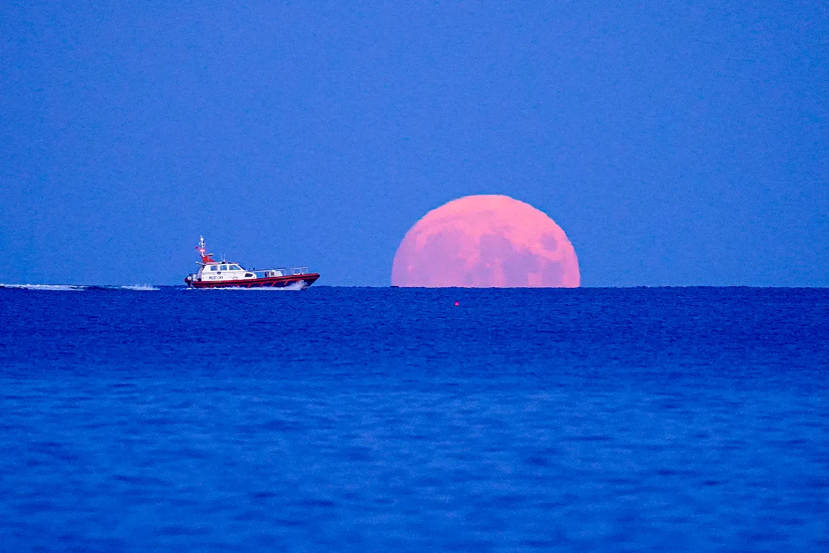 FALMOUTH, ENGLAND - SEPTEMBER 20: A pilot boat passes the rising Harvest Moon on September 20, 2021 off Swanpool Beach, Falmouth, England. (Photo by Hugh R Hastings/Getty Images)