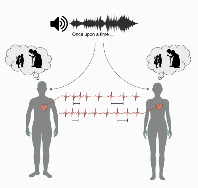 Two individuals listening to the same story can experience a synchronisation in heart rates © Perez and Madsen et al