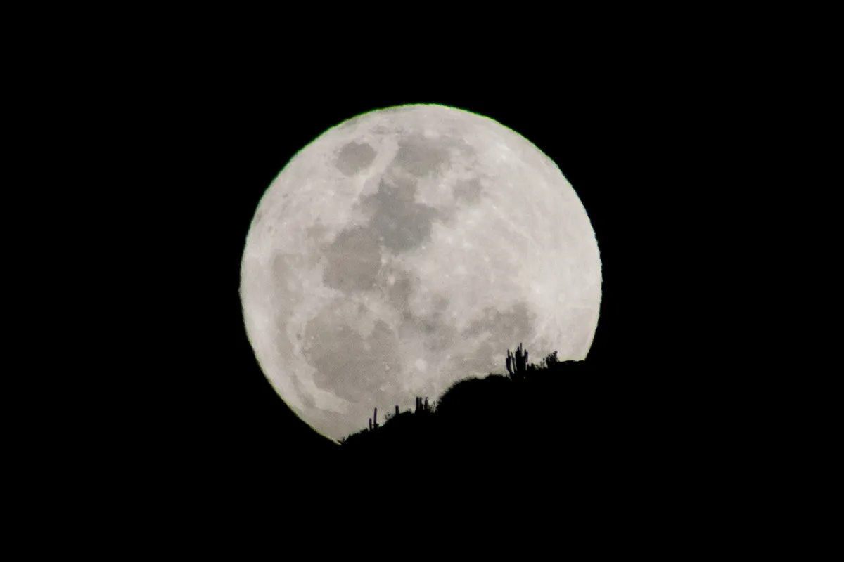 Mandatory Credit: Photo by Matias Basualdo/ZUMA Press Wire/Shutterstock (12454884b) The full Harvest Moon appears at dusk behind some cactus, in the Andes Mountains in Santiago, Chile. Full Moon in Santiago Chile, Metropolitana - 20 Sep 2021