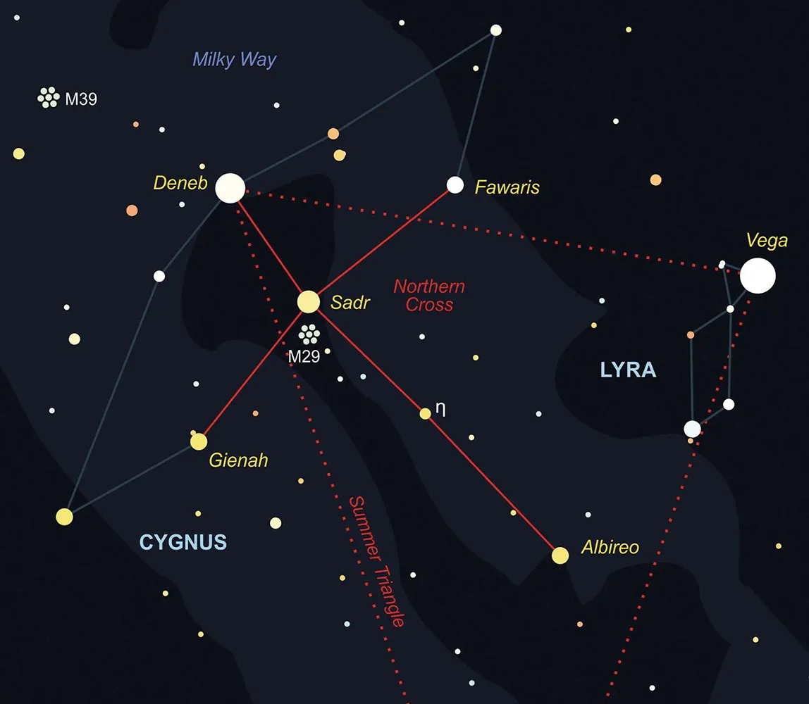 How can I see Cygnus?