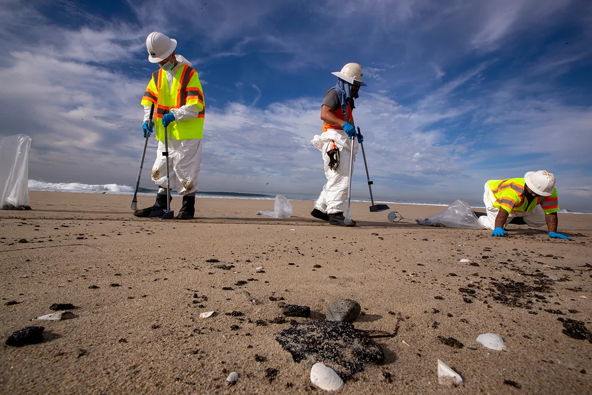 Huntington Beach, CA - October 04: Cleanup crews spread out across the beach as they begin cleaning up oil in the sand from a major oil spill on Huntington State Beach in Huntington Beach Monday, Oct. 4, 2021. Cleanup crews began cleaning up the the damage from a major oil spill off the Orange County coast that left crude spoiling beaches, killing fish and birds and threatening local wetlands. The oil slick is believed to have originated from a pipeline leak, pouring 126,000 gallons into the coastal waters and seeping into the Talbert Marsh as lifeguards deployed floating barriers known as booms to try to stop further incursion, said Jennifer Carey, Huntington Beach city spokesperson. At sunrise Sunday, oil was on the sand in some parts of Huntington Beach with slicks visible in the ocean as well. We classify this as a major spill, and it is a high priority to us to mitigate any environmental concerns, Carey said. Its all hands on deck. (Allen J. Schaben / Los Angeles Times via Getty Images)